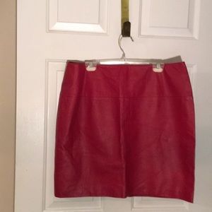 Newport News Easy Style 18 Skirt